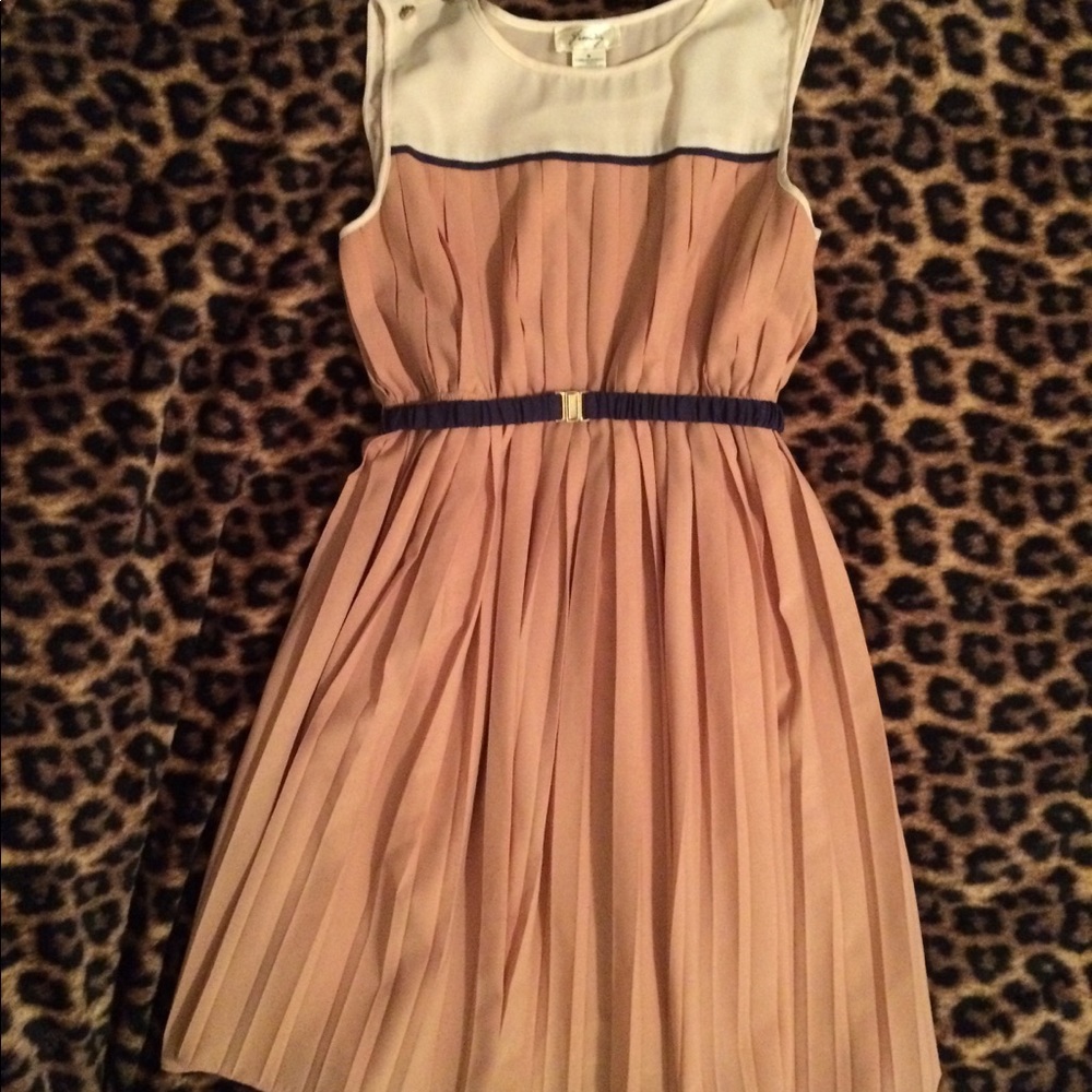 Freeway  Nude/Navy Pleated Dress Size M