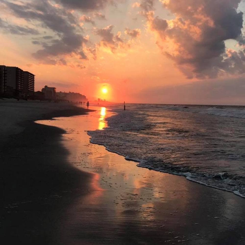 Meet your Posher, Joyce