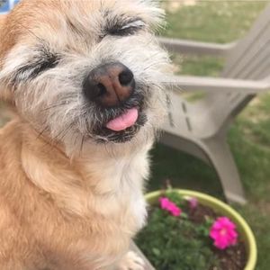 Meet your Posher, Sharon