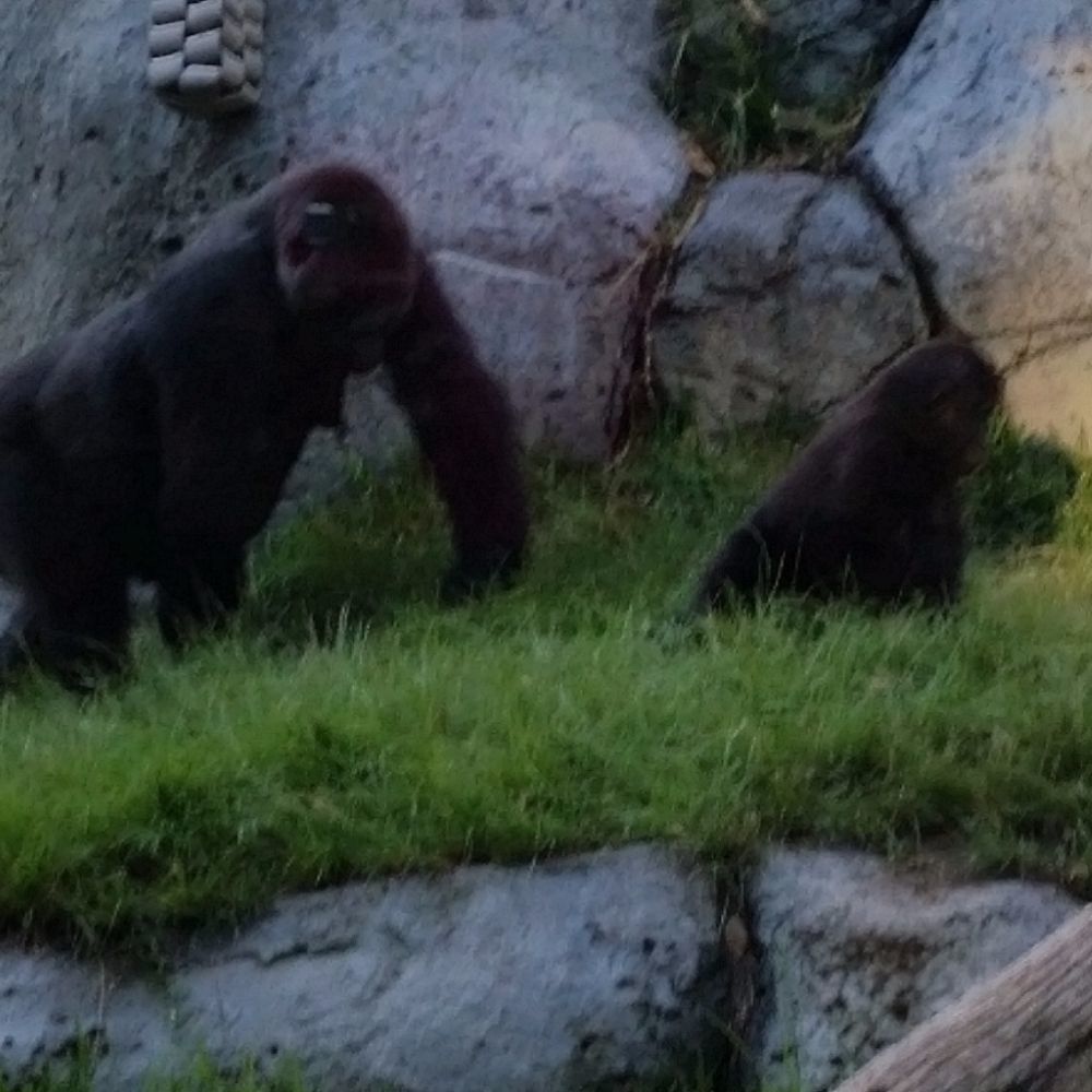 Meet your Posher, Krystal