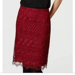 LOFT NWT Floral Lace Pencil Skirt