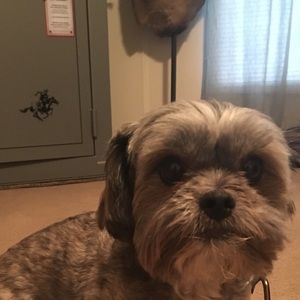 Meet your Posher, Ash