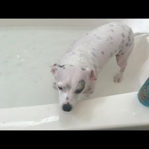 Meet your Posher, Tanya