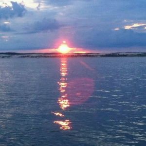 Meet your Posher, Brandy