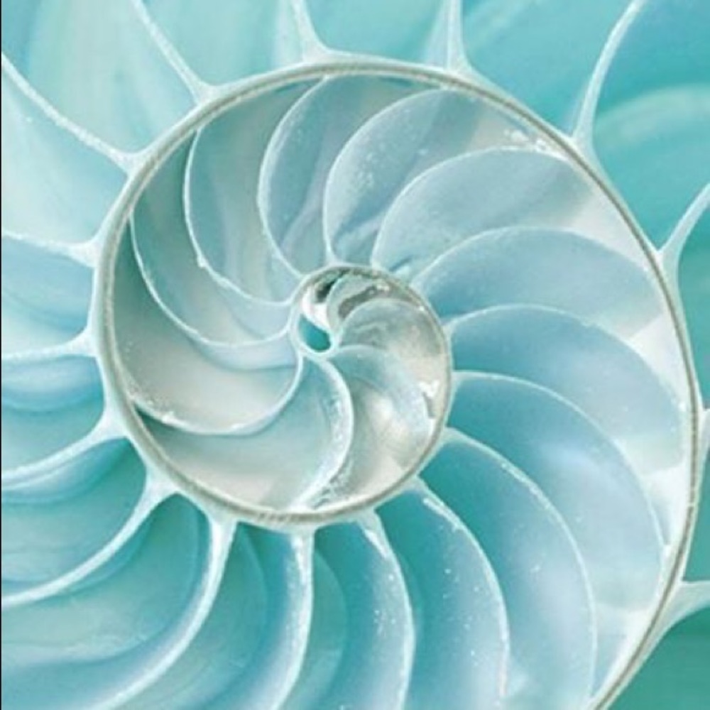 Meet your Posher, Cathy