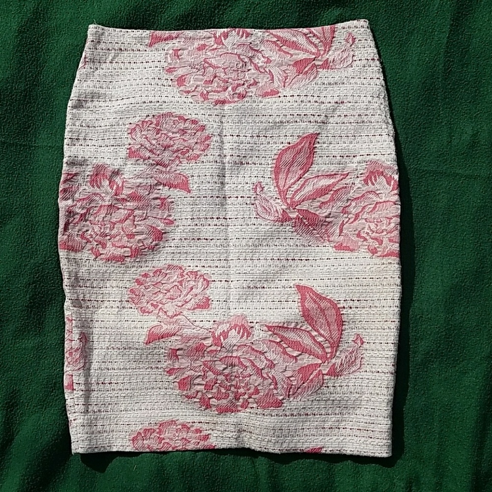 Ann Taylor Skirt