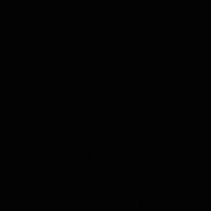 I want a mcm backpack for $40