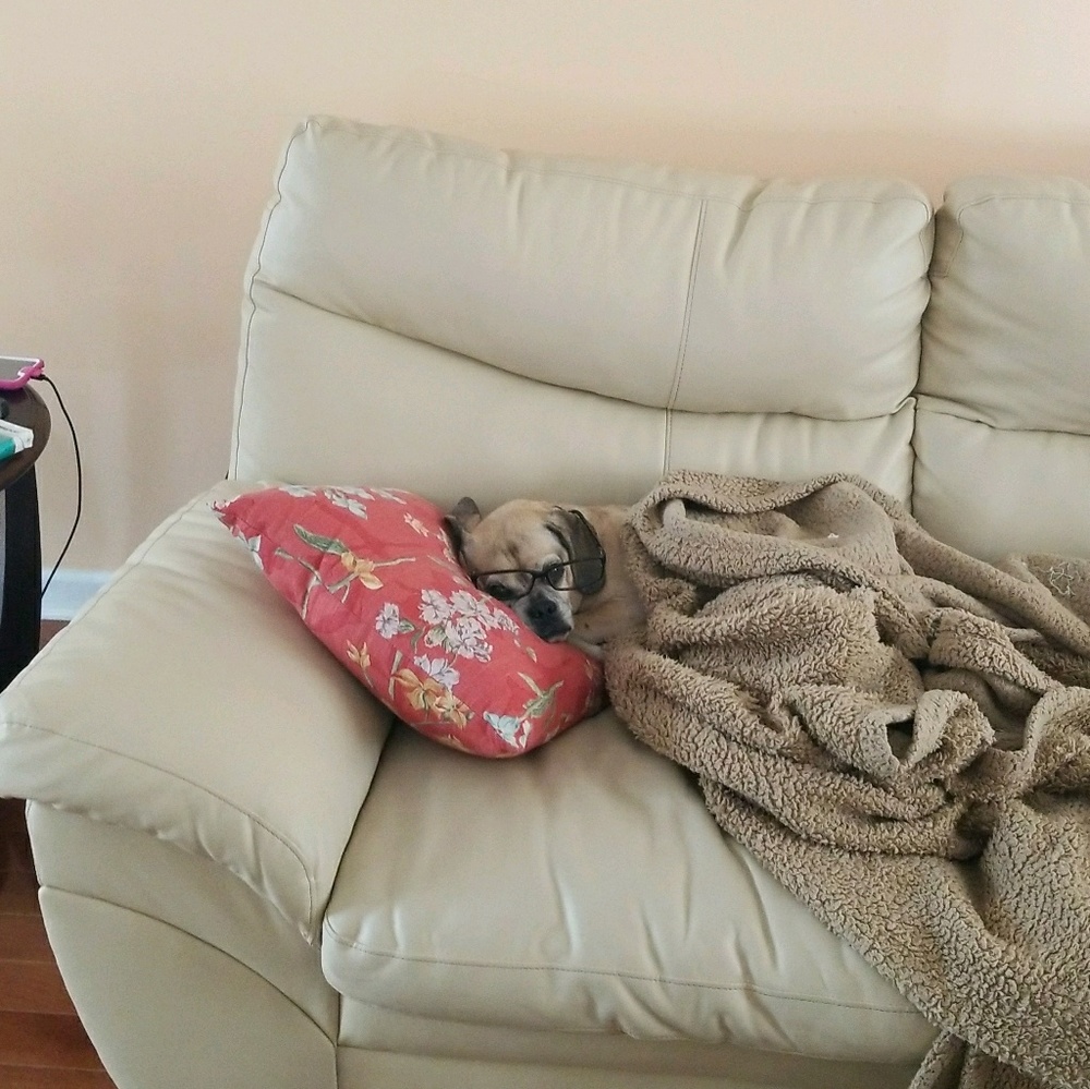 Meet your Posher, David