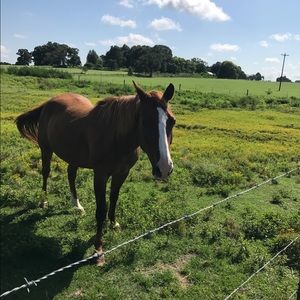 Meet your Posher, Josh