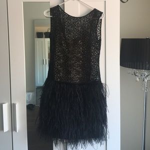 Zara Lace and Feather Dress