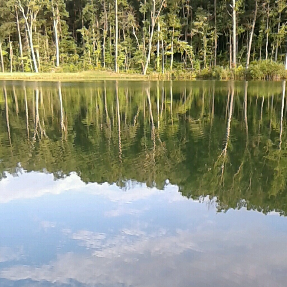 Meet your Posher, Salustia