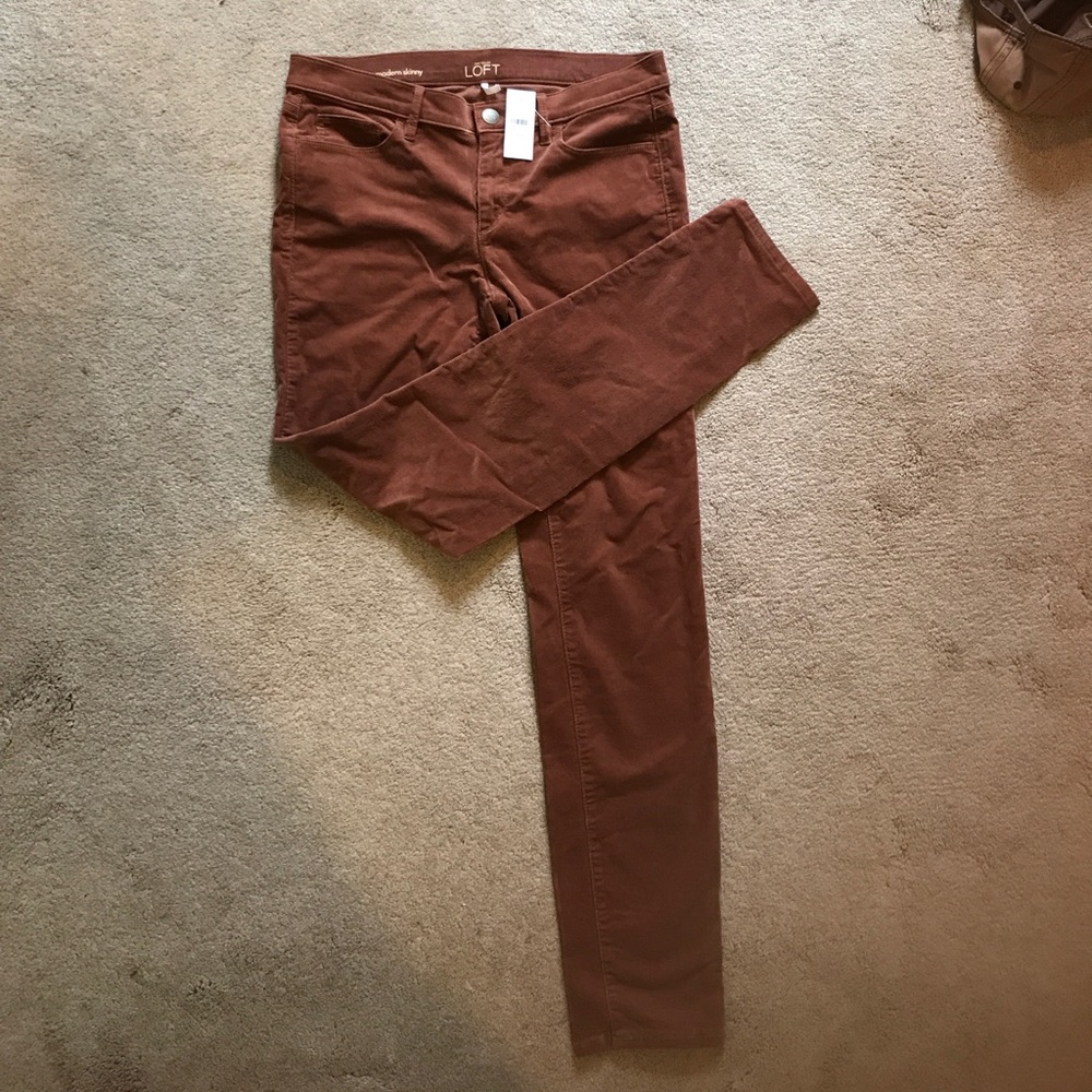 Ann Taylor Pants