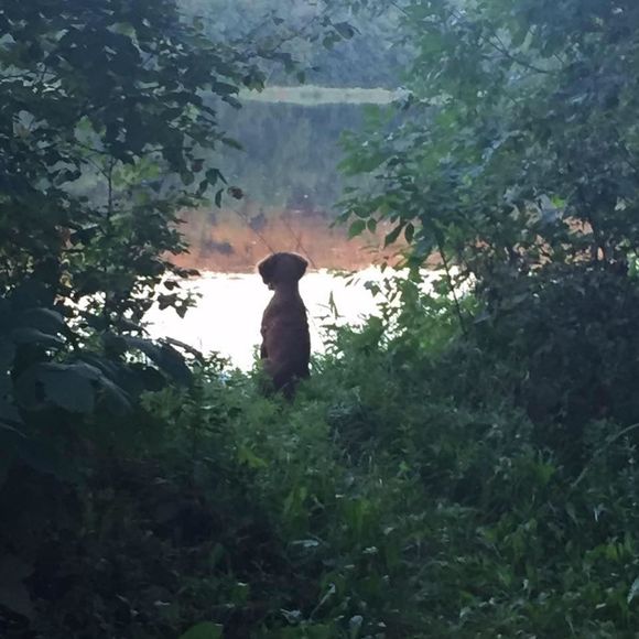 Meet your Posher, Karna - Picture 1 of 1