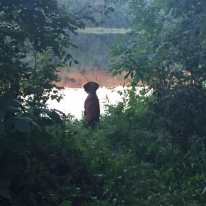 Meet your Posher, Karna