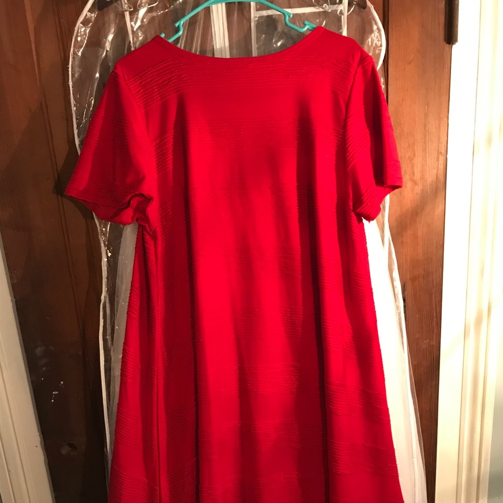 Size L Gorgeous Carly Dress