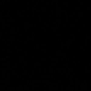 Meet your Posher, Davonte