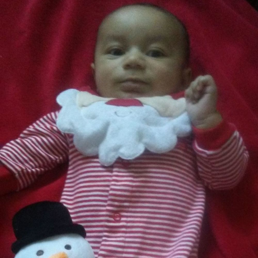 Meet your Posher, Molly