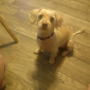 Meet your Posher, Phyllis