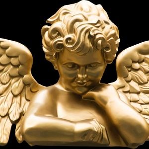 Meet your Posher, Troy