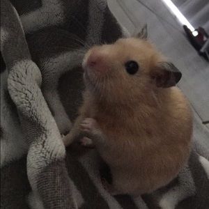 Meet your Posher, Delaney