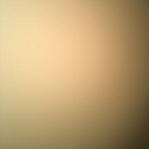 Meet your Posher, Lily