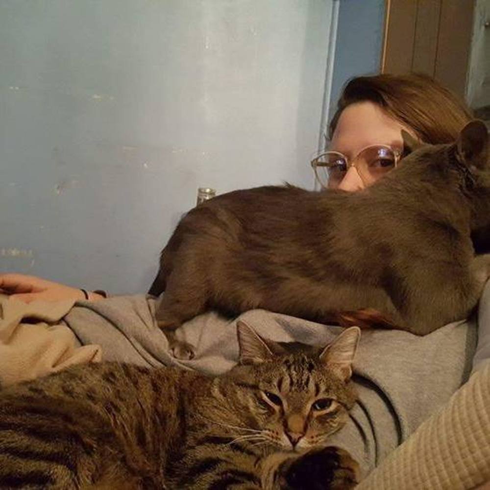 Meet your Posher, Catherine