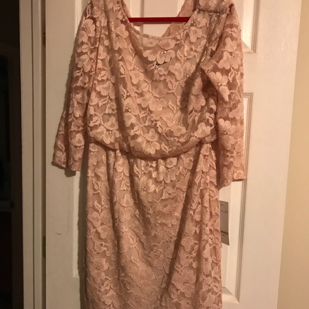 Champagne 🥂, lace Chetta B dress; size 14