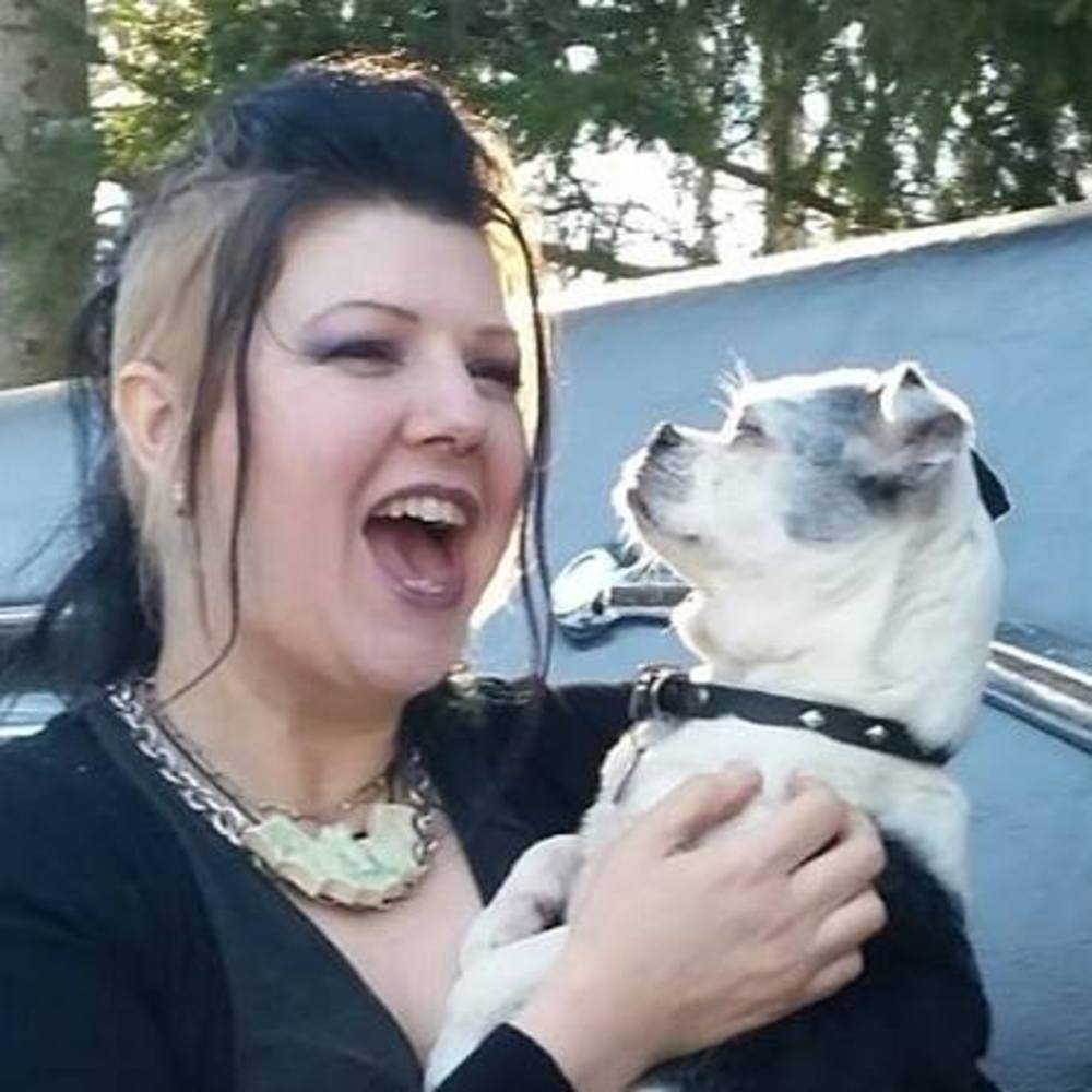 Meet your Posher, Kitty