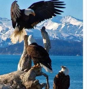 Meet your Posher, Kristi