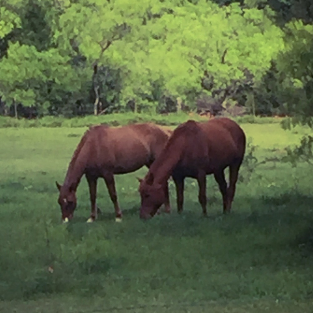 Meet your Posher, Taryn