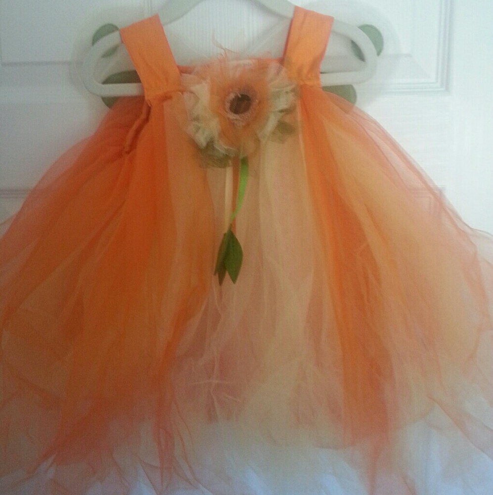 Pottery Barn Kids Pumpkin Princess Costume