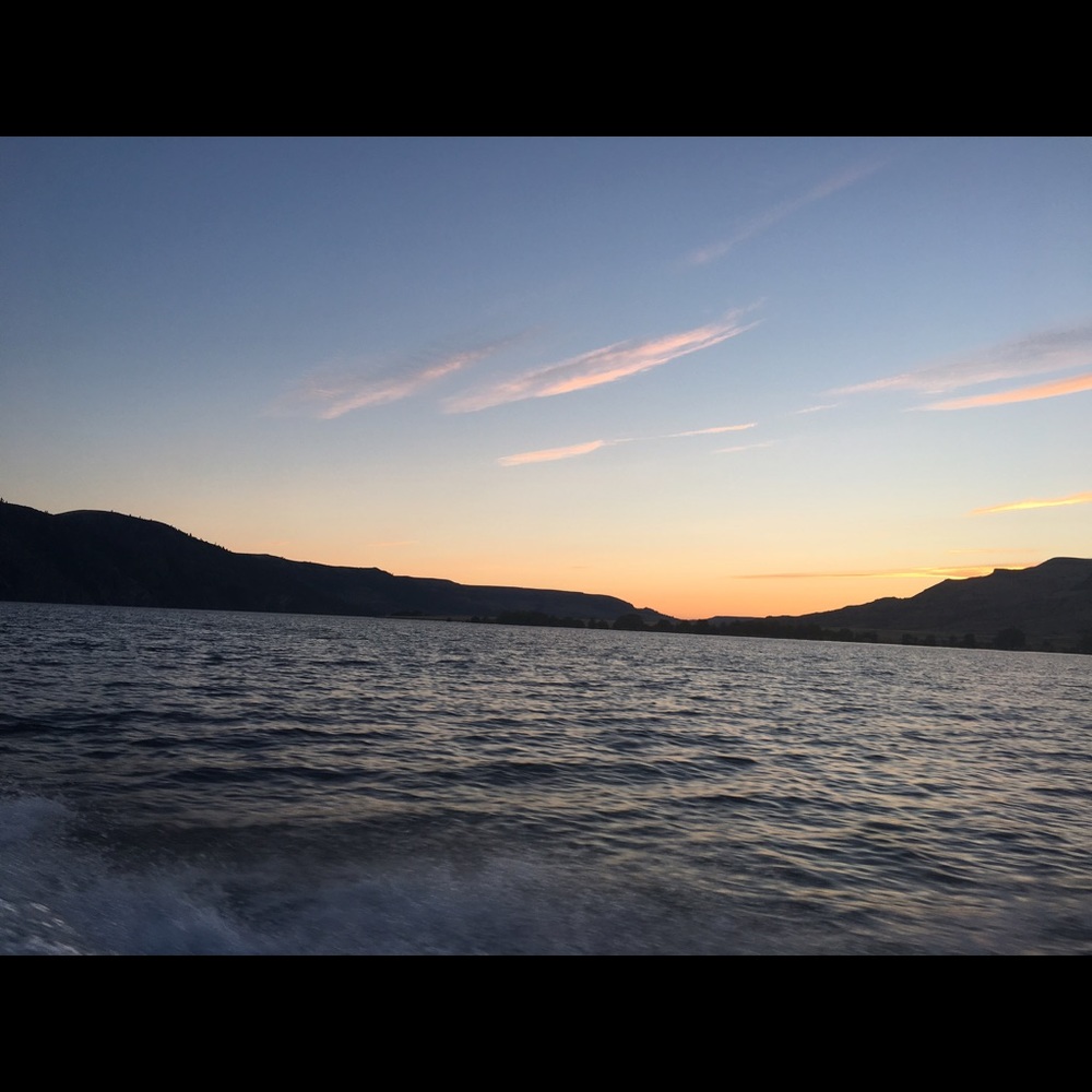 Meet your Posher, Taryn