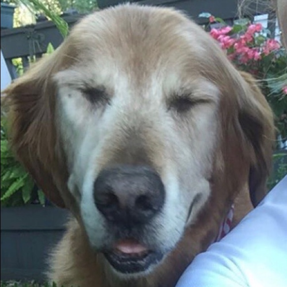 Meet your Posher, Colin