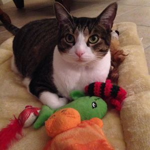 Meet your Posher, Mary