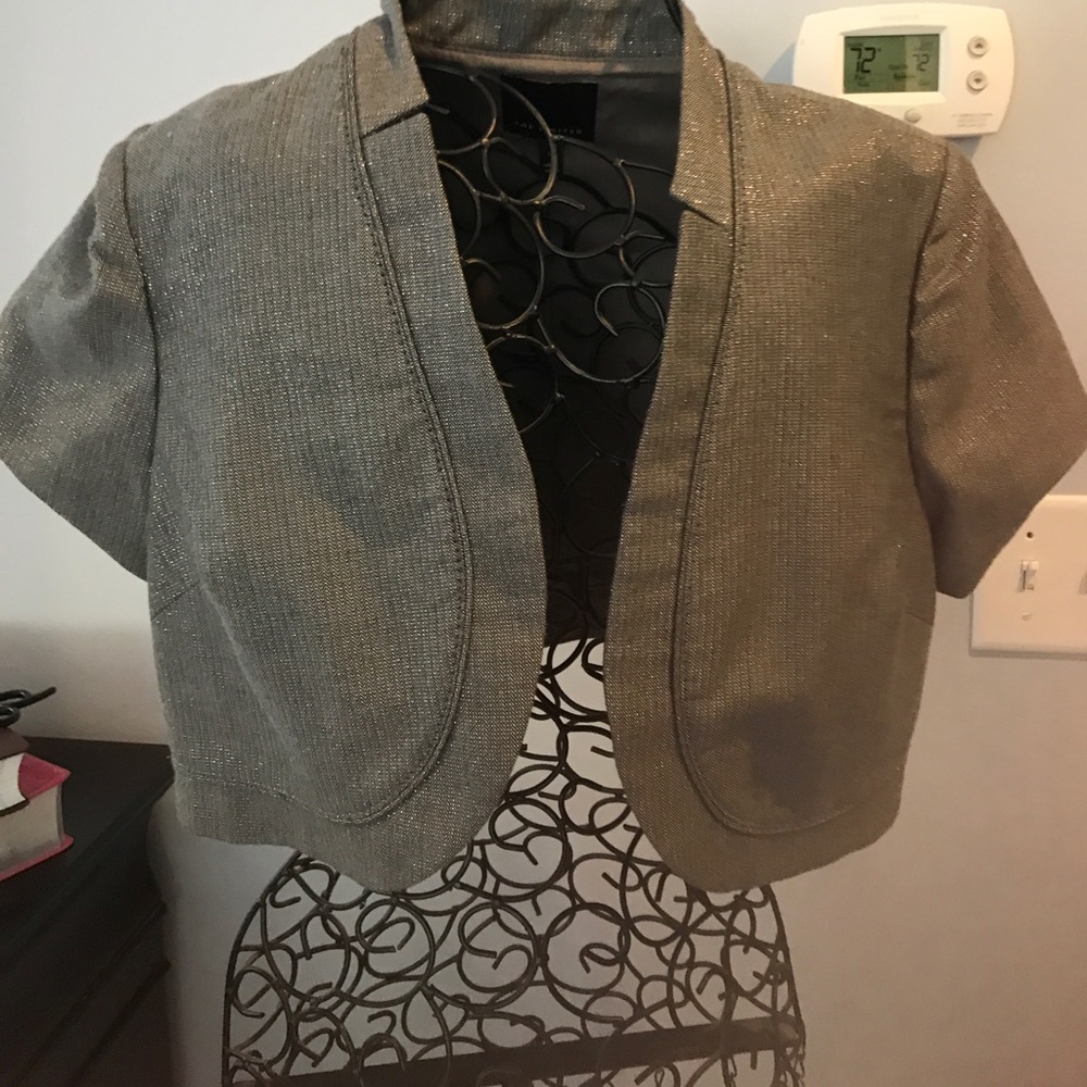 The Limited Dress Blazer