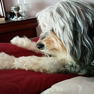 Meet your Posher, Donna