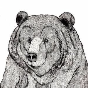 Meet your Posher, Cecilia