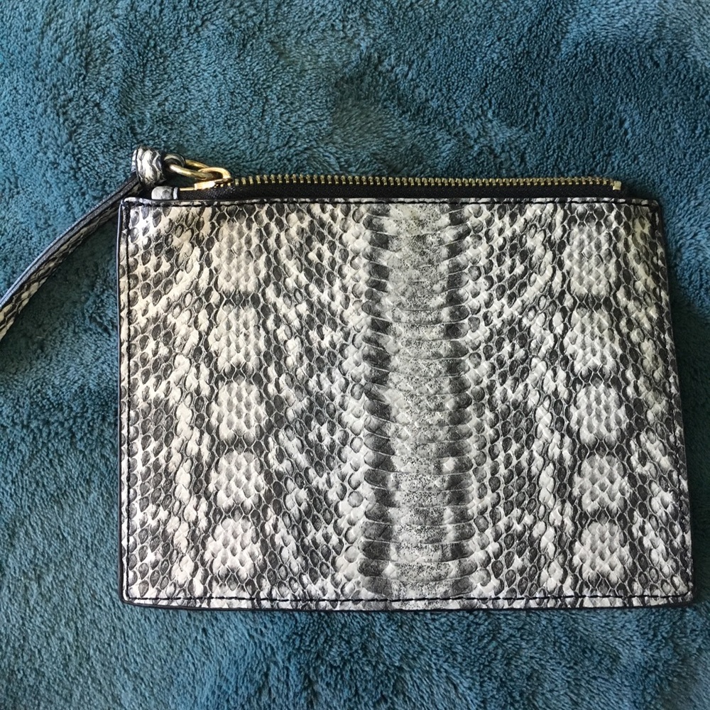 Snake skin clutch