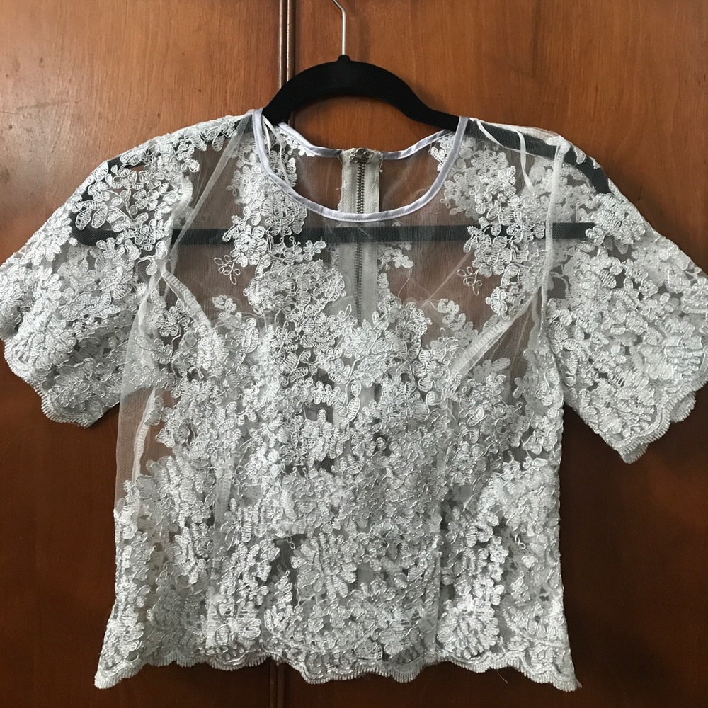 Silver Mesh Dress Top (From LF Stores)