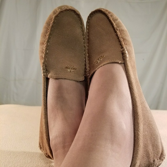 Coach Shoes - Brand New Coach Brown Sueude Loafers