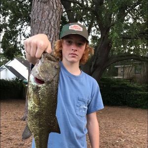 Meet your Posher, Jackson