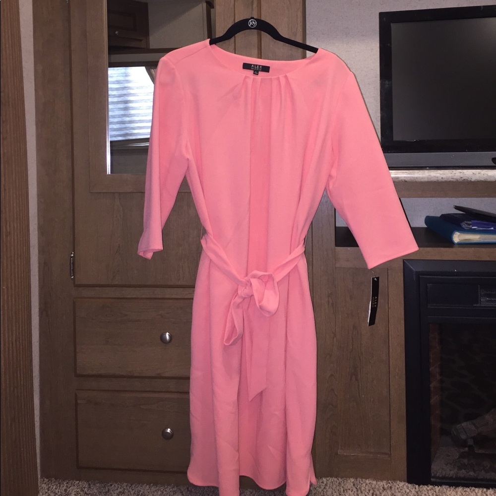 Brand new with tags Alex Marie dress