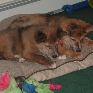 Meet your Posher, Nick