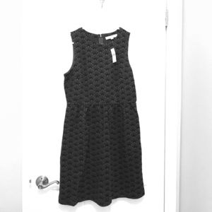New w/Tags Ann Taylor Loft A-Line Waist Dress