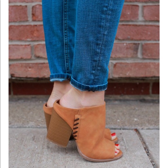 Mule - Picture 2 of 6