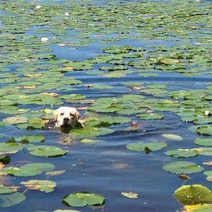 Meet your Posher, Cole