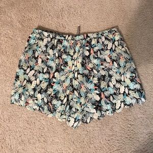 Lauren Conrad Shorts