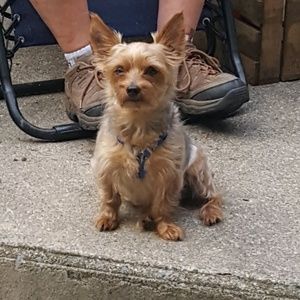 Meet your Posher, Desirea