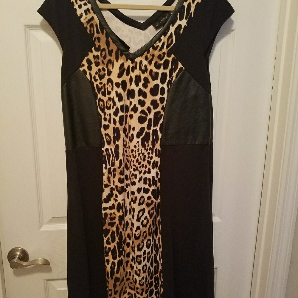 Never worn, New Leopard and leather