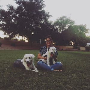 Meet your Posher, Tea